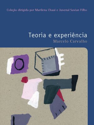 cover image of Teoria e experiência